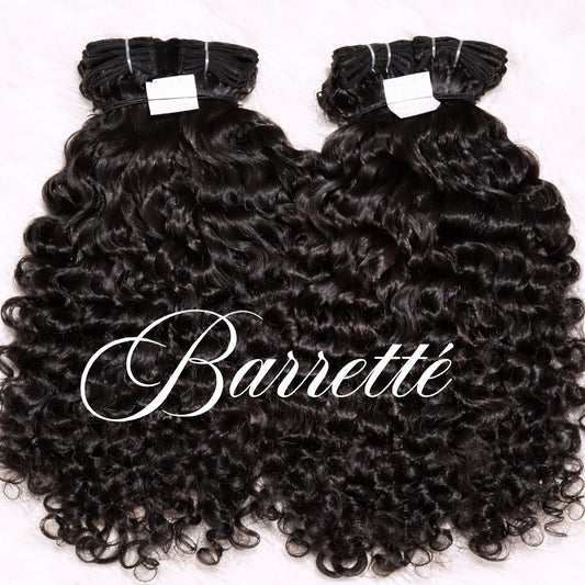 BURMESE ANDAMAN SEA CURLY