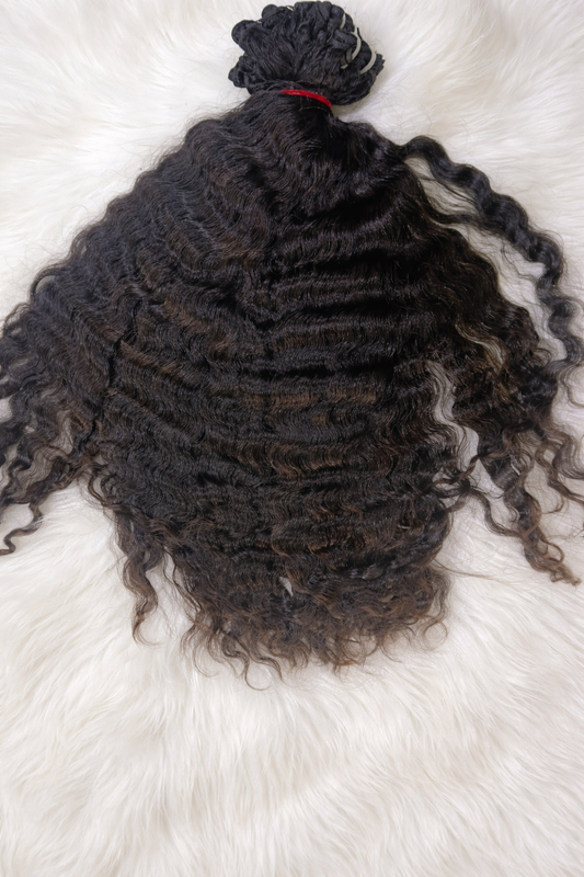 BURMESE ANDAMAN SEA CURLY