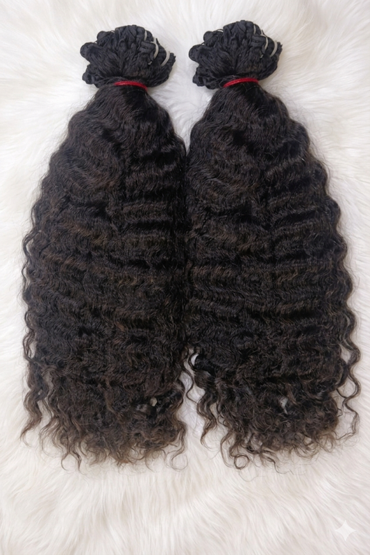 BURMESE ANDAMAN SEA CURL 2 BUNDLE DEAL